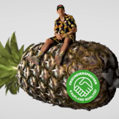 PineappleTheFruitDude